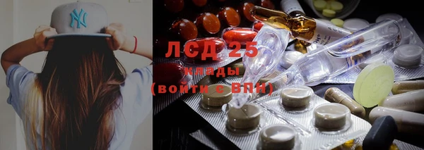 крисы Заводоуковск