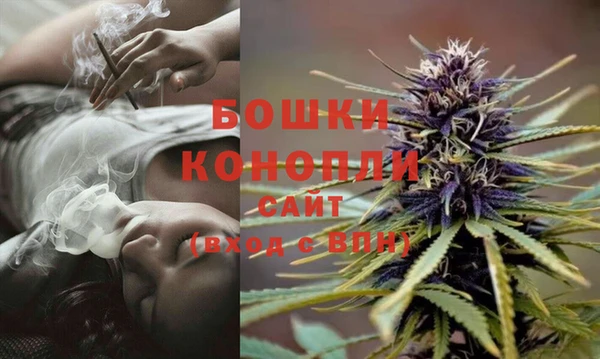 крисы Заводоуковск