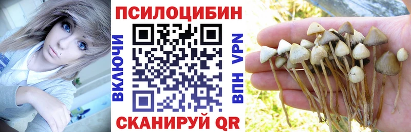 Купить закладки  Петропавловск-Камчатский  Псилоцибиновые грибы Cubensis 