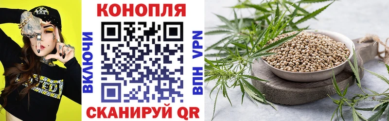 Купить закладки  Петропавловск-Камчатский  Каннабис план 